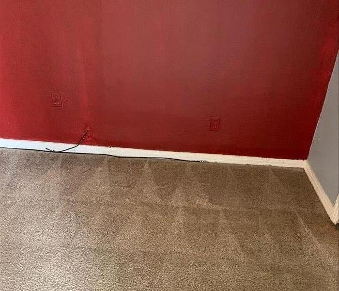 A cleaned, fresh carpet after a cleaning.