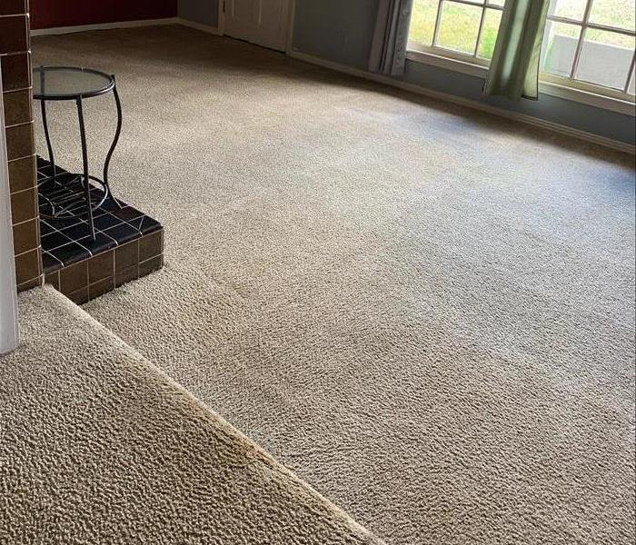 A freshly cleaned carpet