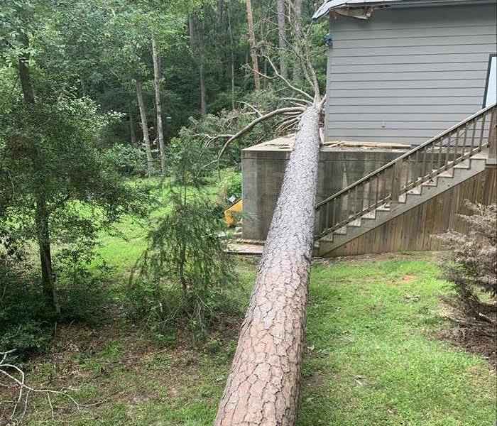 A large tree fallen on home