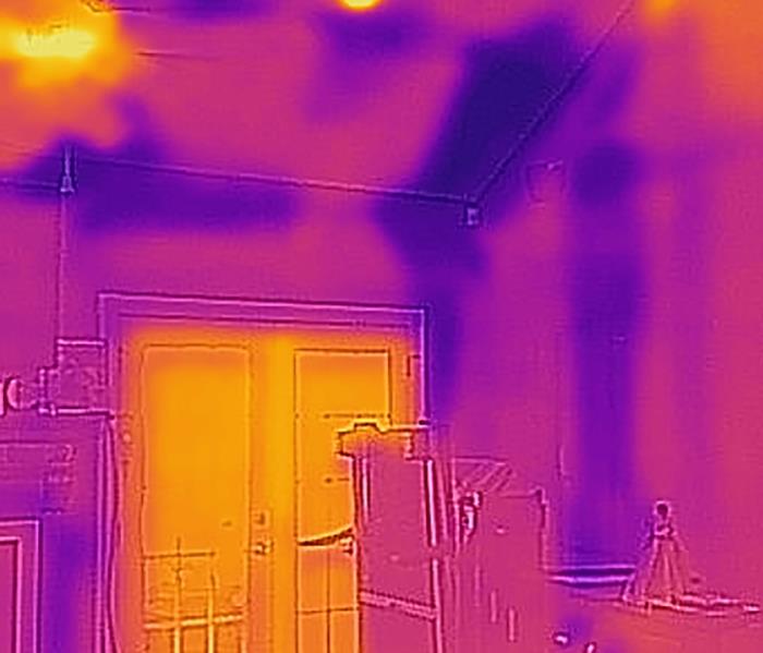 This is a FLIR image shower color differences which may be trapped moisture in a home. 